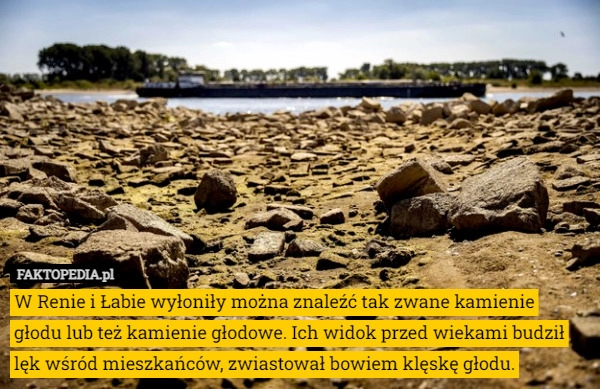 
    W Renie i Łabie wyłoniły można znaleźć tak zwane kamienie głodu lub też