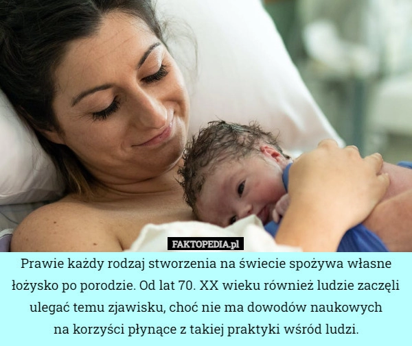 
    Prawie każdy rodzaj stworzenia na świecie spożywa własne łożysko po porodzie.