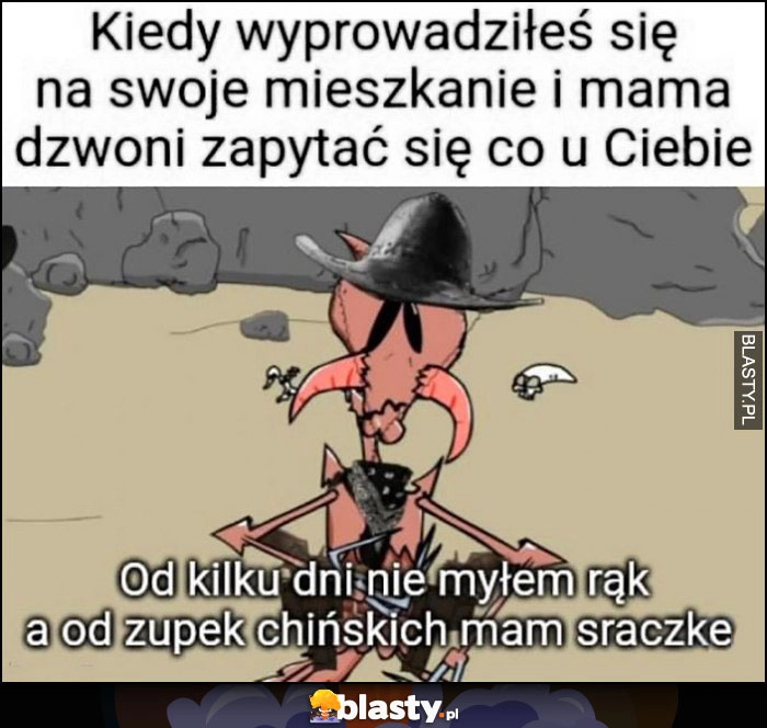 
    Kiedy wyprowadziłeś się na swoje mieszkanie i mama dzwoni spytać co u Ciebie: od kilku dni nie myłem rąk a od zupek chińskich mam sraczkę kapitan bomba