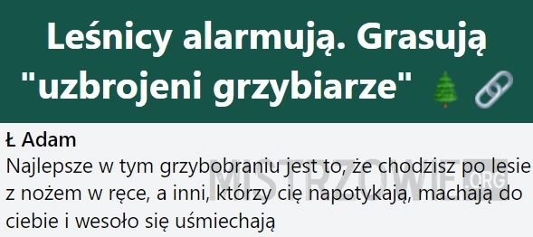 
    Grzybiarze