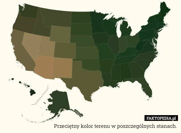 
    Przeciętny kolor terenu w poszczególnych stanach.