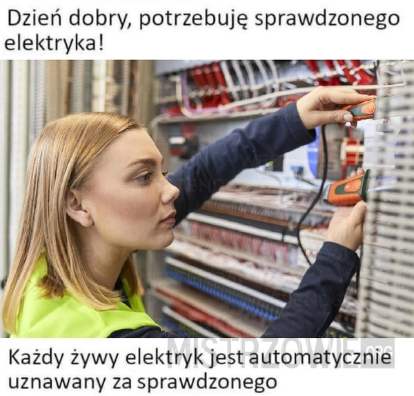 
    Elektryk