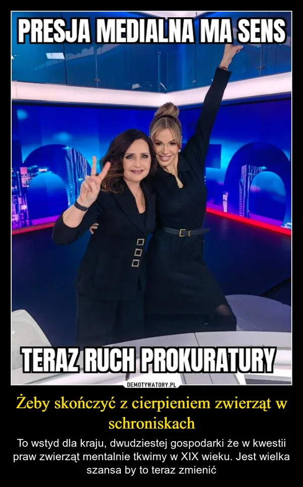 
    Żeby skończyć z cierpieniem zwierząt w schroniskach