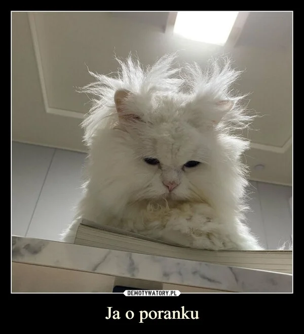 
    Ja o poranku
