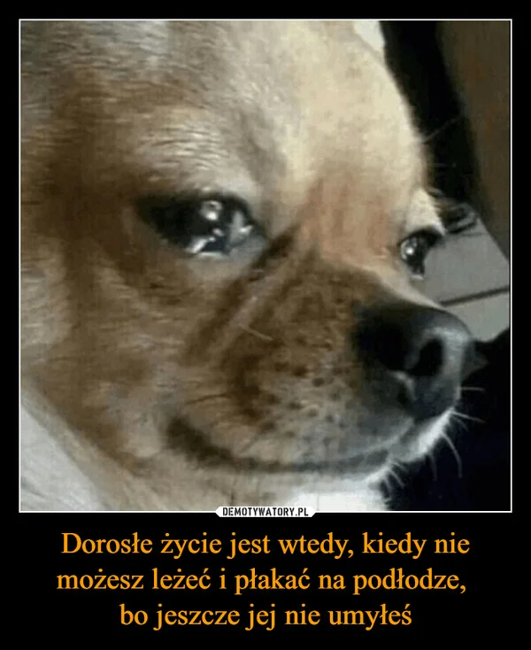 Dorosłe życie jest wtedy, kiedy nie możesz leżeć i płakać na podłodze, bo jeszcze jej nie umyłeś