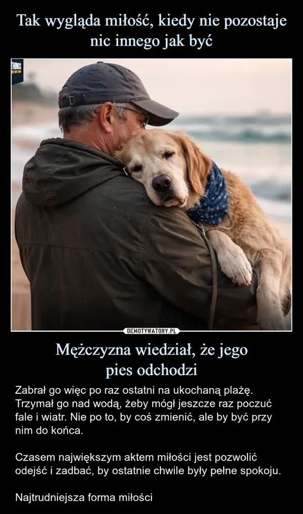 
    Tak wygląda miłość, kiedy nie pozostaje nic innego jak być Mężczyzna wiedział, że jego pies odchodzi