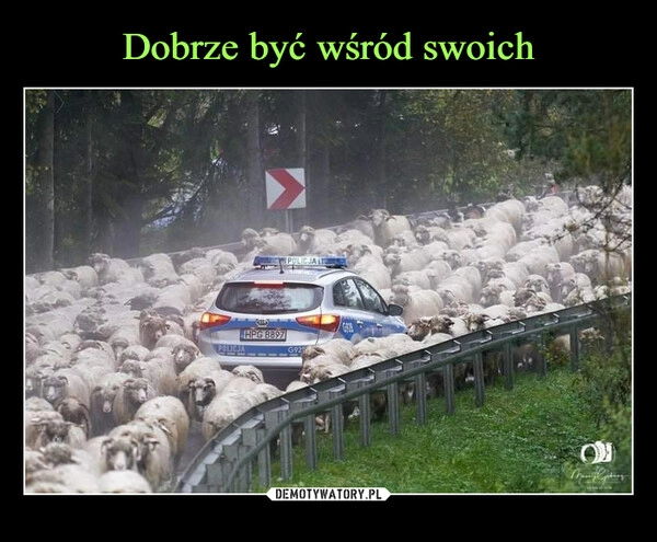 
    Dobrze być wśród swoich