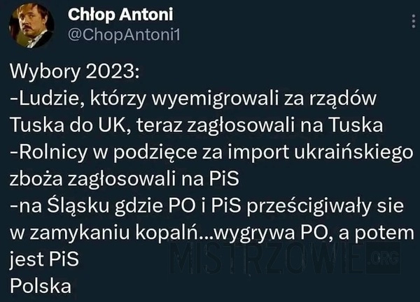 
    Wybory 2023