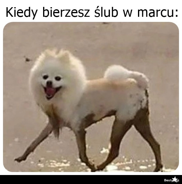 
    Ślub w marcu 