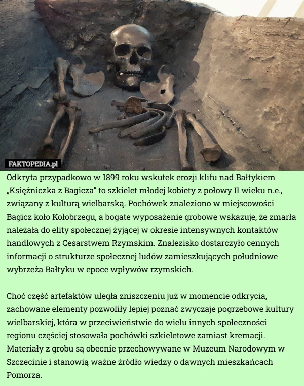 
    Odkryta przypadkowo w 1899 roku wskutek erozji klifu nad Bałtykiem „Księżniczka