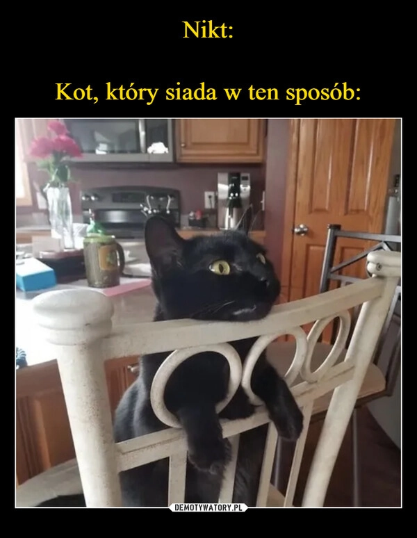 
    Nikt:

Kot, który siada w ten sposób: