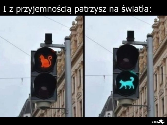 
    Światła 