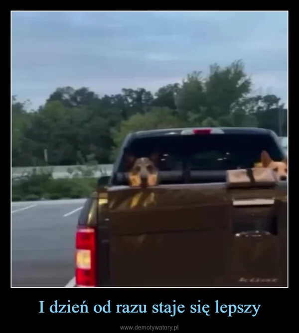 
    I dzień od razu staje się lepszy