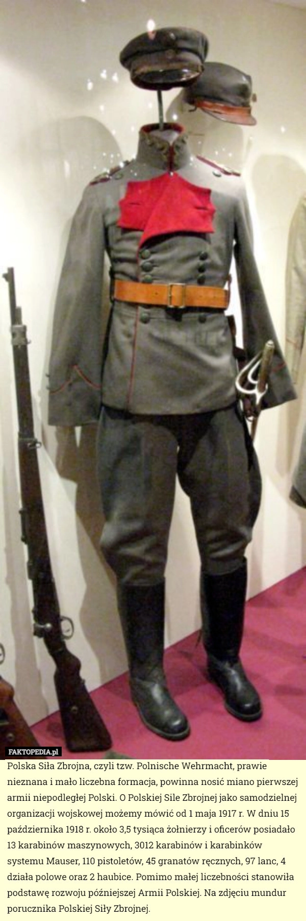 
    Polska Siła Zbrojna, czyli tzw. Polnische Wehrmacht, prawie nieznana i mało