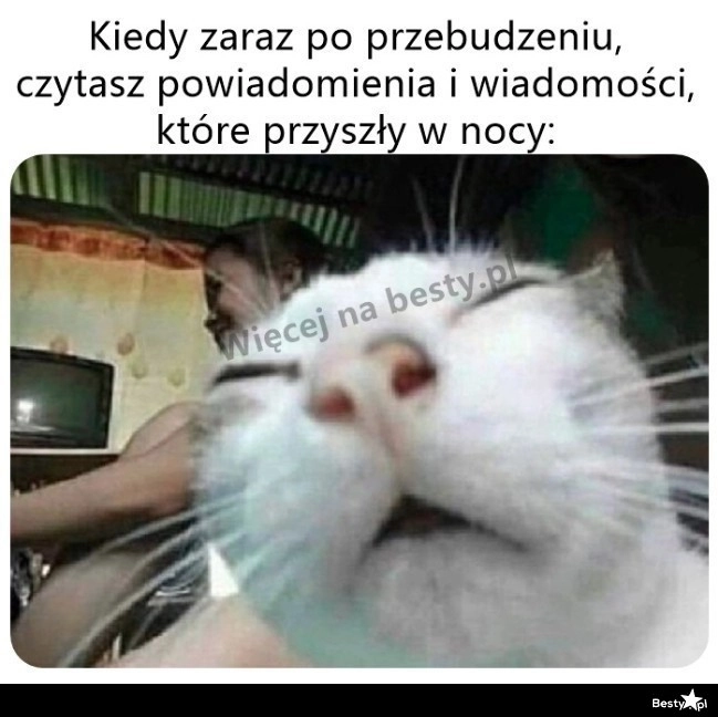 
    Jednak trzeba się jeszcze rozbudzić 