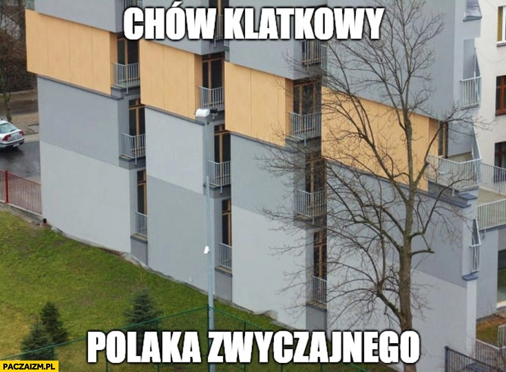 Chów klatkowy Polaka zwyczajnego mieszkania apartamenty w Krakowie jak klatki