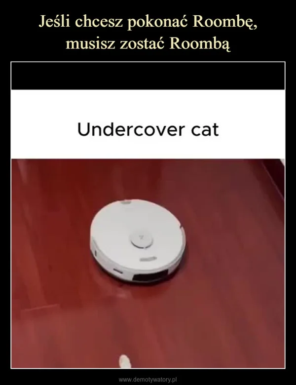 
    Jeśli chcesz pokonać Roombę, musisz zostać Roombą