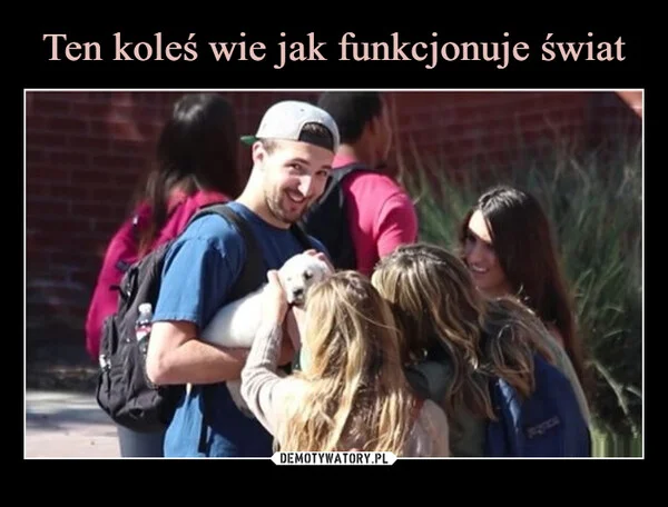 
    Ten koleś wie jak funkcjonuje świat