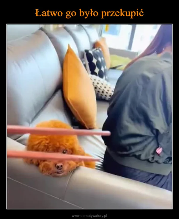 
    Łatwo go było przekupić