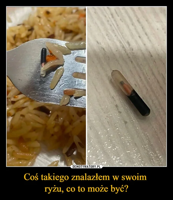 
    Coś takiego znalazłem w swoim ryżu, co to może być?