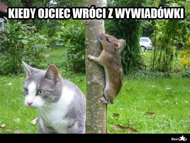 
    Kiedy ojciec wróci z wywiadówki 