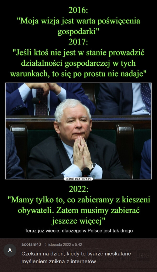 
    Wizja