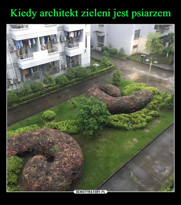 
    Kiedy architekt zieleni jest psiarzem