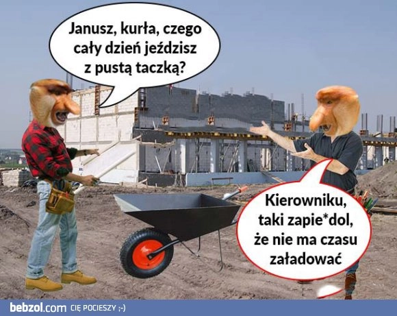 
    Janusz na budowie