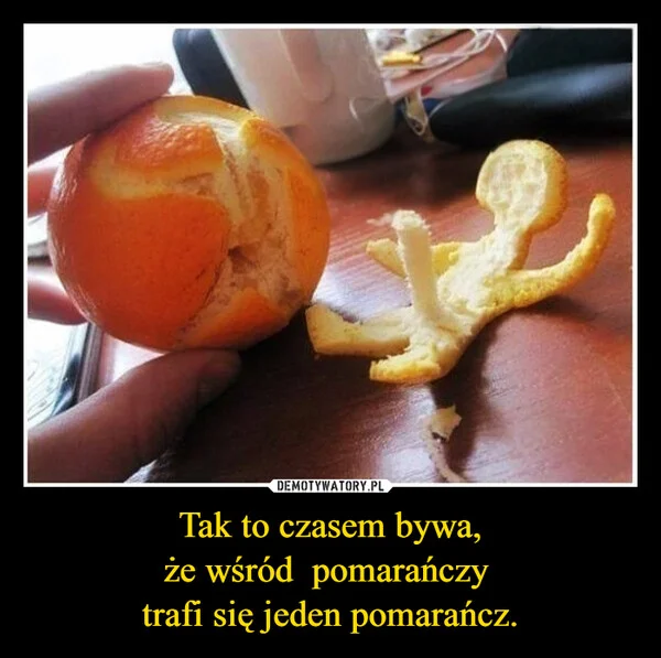 
    Tak to czasem bywa, że wśród pomarańczy trafi się jeden pomarańcz.