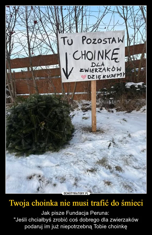 
    Twoja choinka nie musi trafić do śmieci