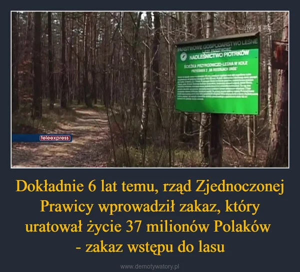 
    Dokładnie 6 lat temu, rząd Zjednoczonej Prawicy wprowadził zakaz, który uratował życie 37 milionów Polaków - zakaz wstępu do lasu