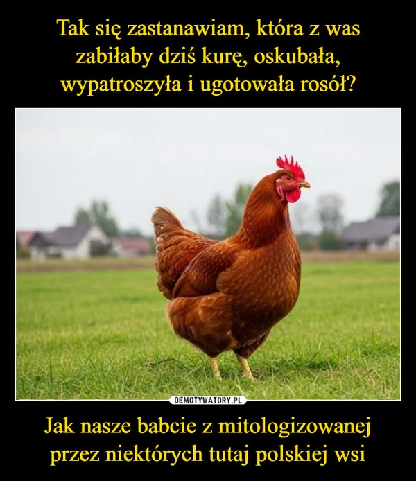 
    Tak się zastanawiam, która z was zabiłaby dziś kurę, oskubała, wypatroszyła i ugotowała rosół? Jak nasze babcie z mitologizowanej przez niektórych tutaj polskiej wsi