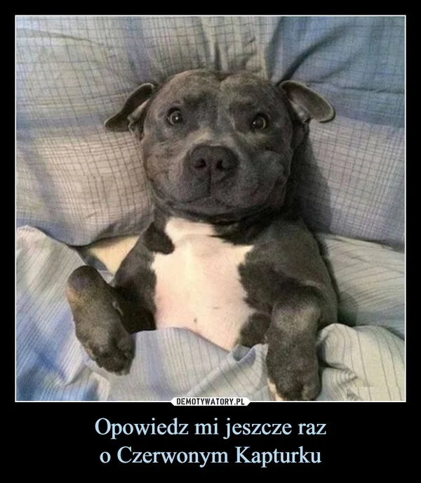 
    Opowiedz mi jeszcze raz o Czerwonym Kapturku