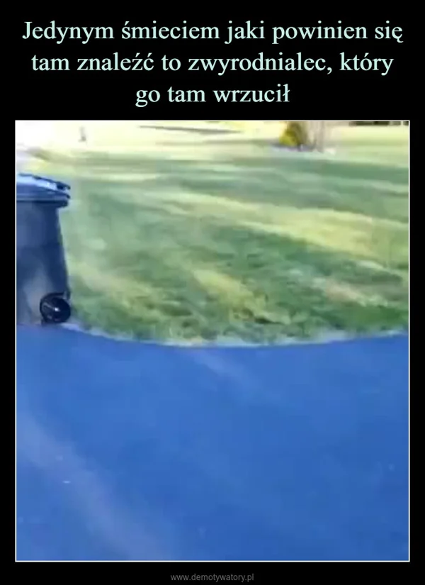 
    Jedynym śmieciem jaki powinien się tam znaleźć to zwyrodnialec, który go tam wrzucił