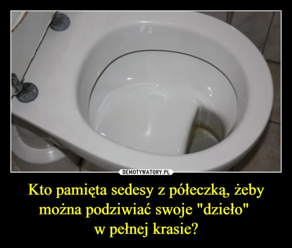 
    Kto pamięta sedesy z półeczką, żeby można podziwiać swoje 