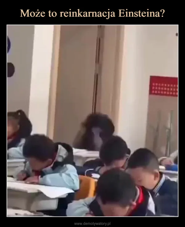 
    Może to reinkarnacja Einsteina?