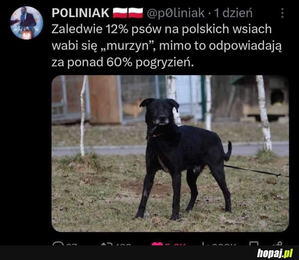 
    Warto wiedzieć