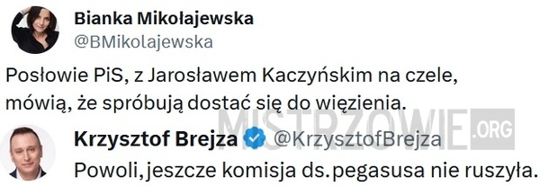 
    Posłowie