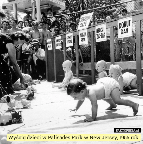 
    Wyścig dzieci w Palisades Park w New Jersey, 1955 rok.