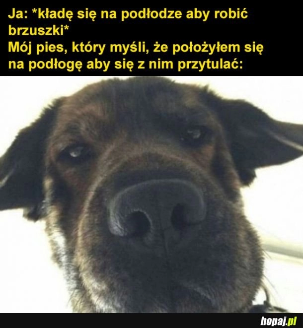 
    Człowiek co ty robisz