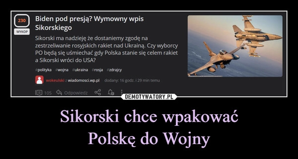 
    Sikorski chce wpakować
Polskę do Wojny