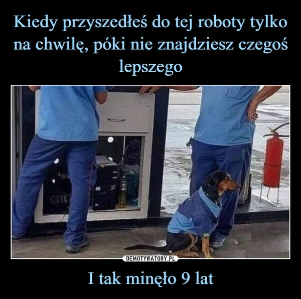 
    Kiedy przyszedłeś do tej roboty tylko na chwilę, póki nie znajdziesz czegoś lepszego I tak minęło 9 lat