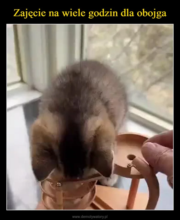 
    Zajęcie na wiele godzin dla obojga