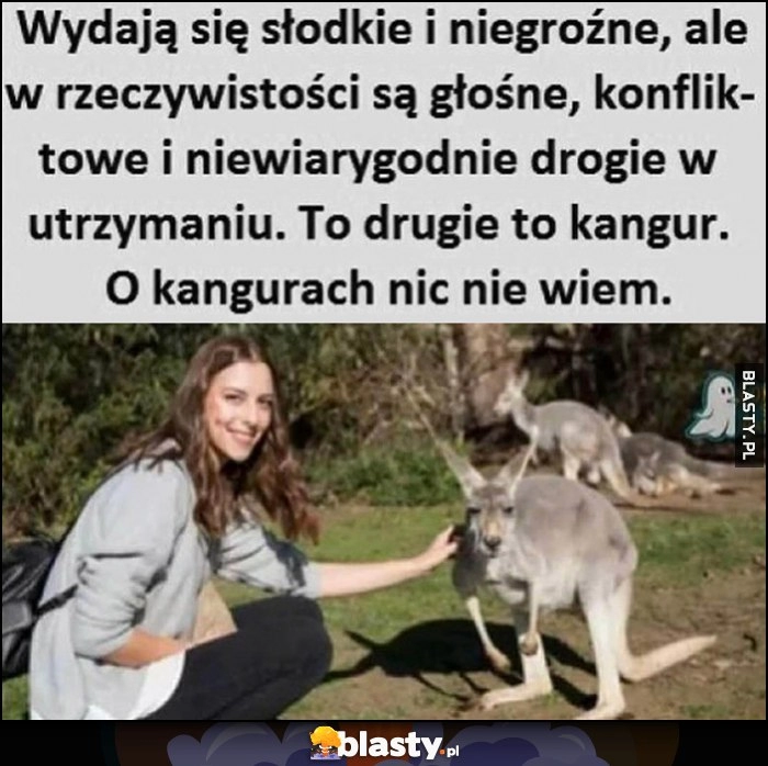 
    Wydają się słodkie i niegroźne, ale w rzeczywistości są głośne, konfliktowe i niewiarygodnie drogie w utrzymaniu. To drugie to kangur, o kangurach nic nie wiem