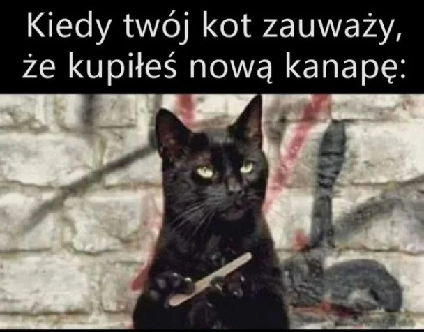 
    Będzie drapane