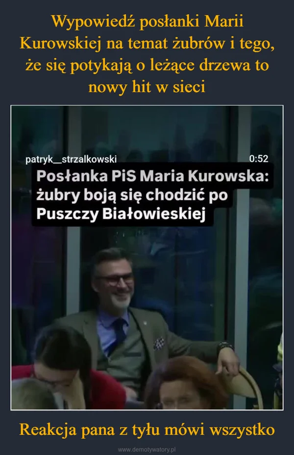 
    Wypowiedź posłanki Marii Kurowskiej na temat żubrów i tego, że się potykają o leżące drzewa to nowy hit w sieci Reakcja pana z tyłu mówi wszystko