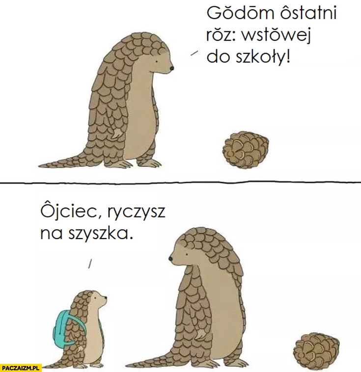 
    Jeż mówię ostatni raz wstawaj do szkoły, ojciec ryczysz na szyszkę