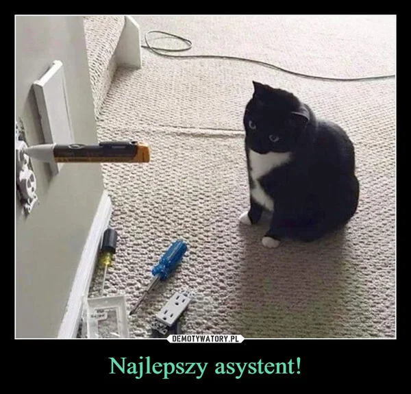 
    Najlepszy asystent!
