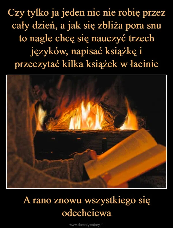 
    Czy tylko ja jeden nic nie robię przez cały dzień, a jak się zbliża pora snu to nagle chcę się nauczyć trzech języków, napisać książkę i przeczytać kilka książek w łacinie A rano znowu wszystkiego się odechciewa