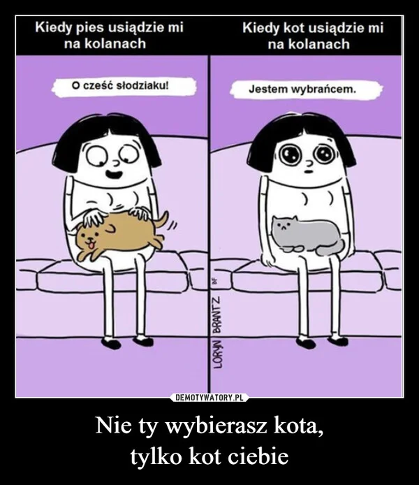 
    Nie ty wybierasz kota, tylko kot ciebie
